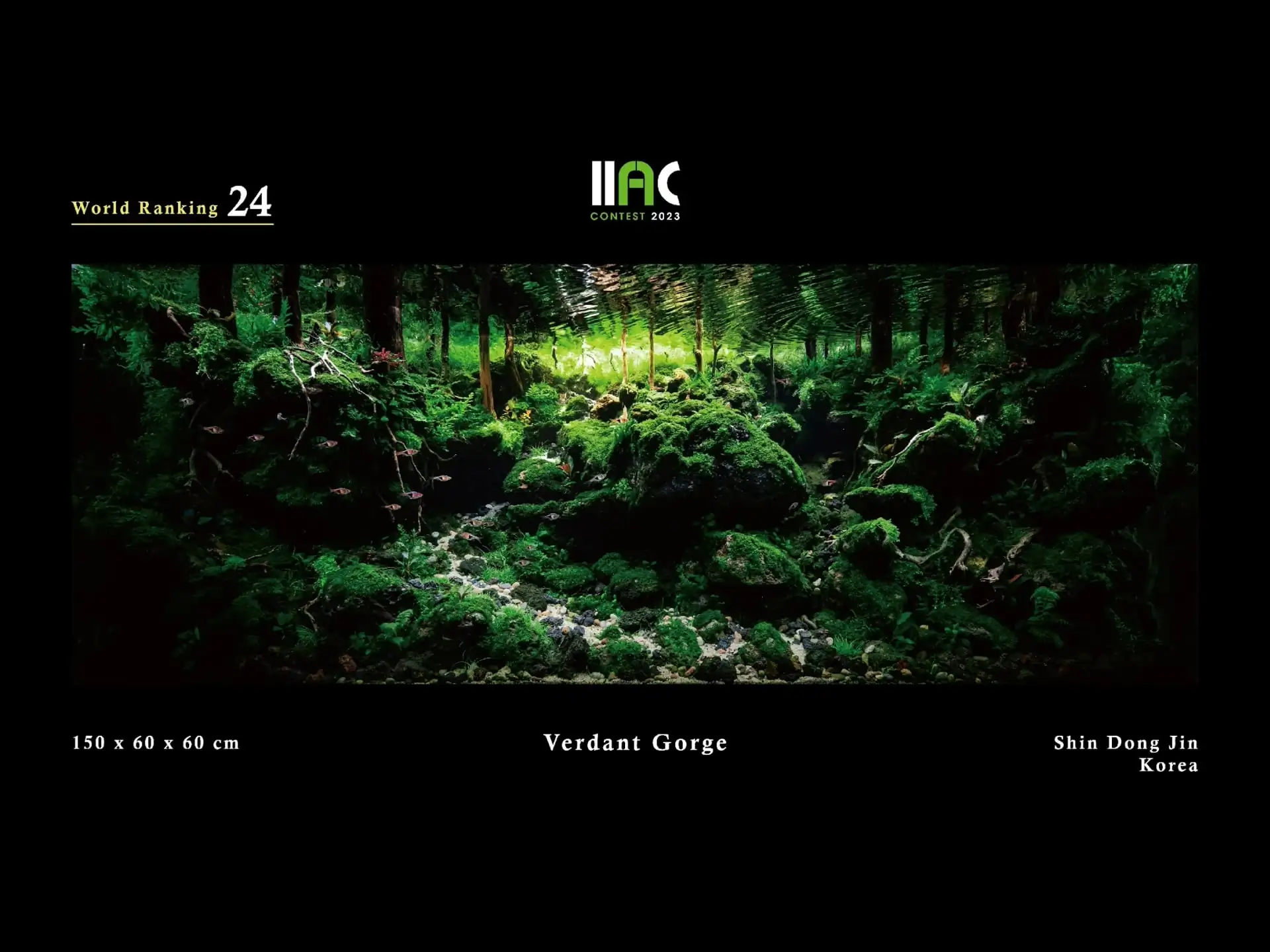 Verdant Gorge - IIAC 2023 #24 Shin Dong Jin / South Korea